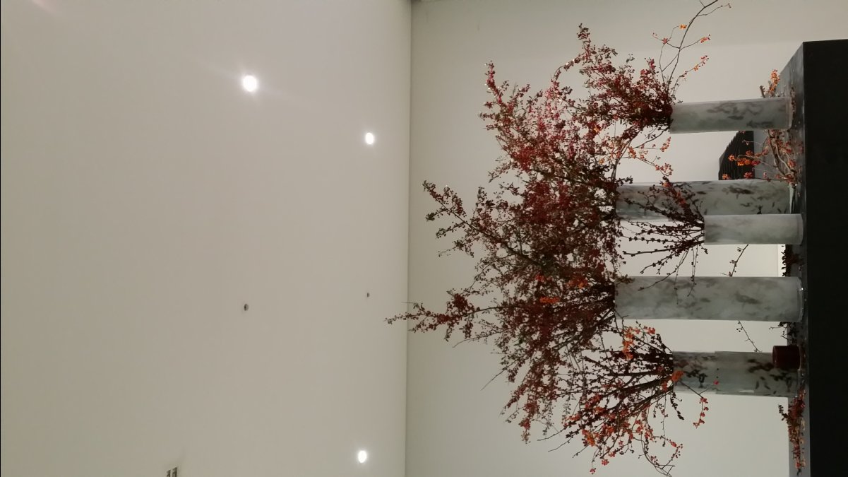 Museum of Modern and Contemporary Art - MMCA31